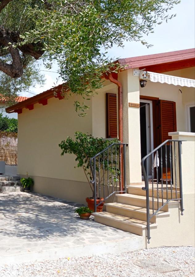 Case Vacanze La Quercia Marina di Camerota Bagian luar foto