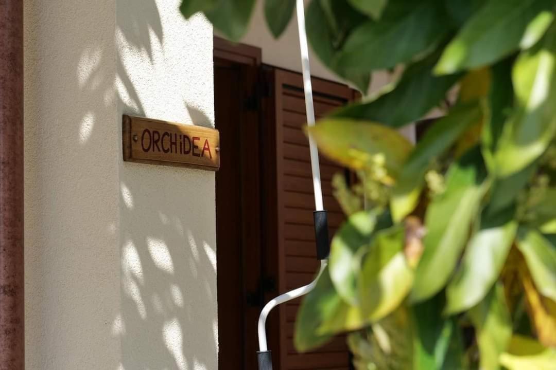 Case Vacanze La Quercia Marina di Camerota Bagian luar foto